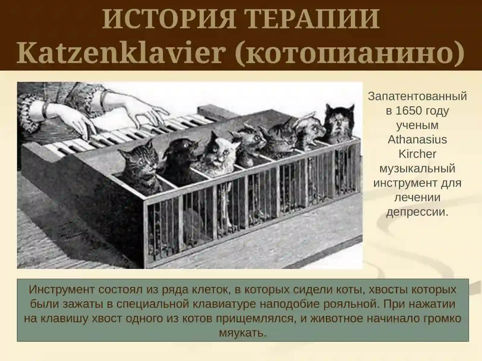 Методы биологической терапии в психиатрии 4