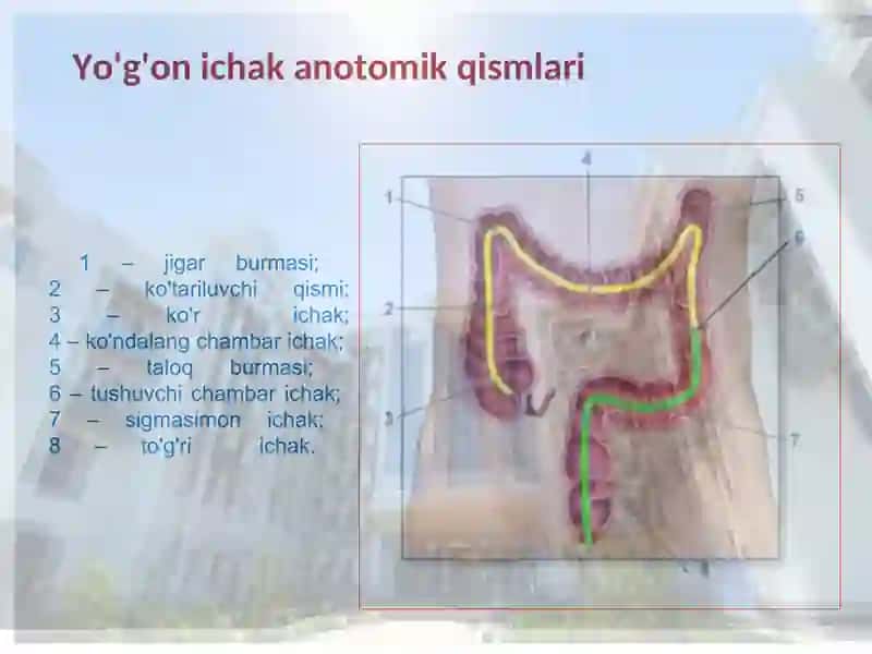 Megakolon va Girshprung kasalligida operatsiyalar mavzusida tayyorlagan Mustaqilishi 4