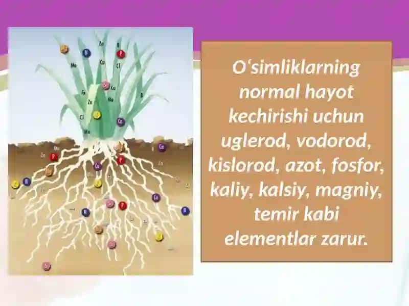 Mineral O‘g‘itlarva Ularni Qishloq XO’Jaligida Qo’llanishi 4