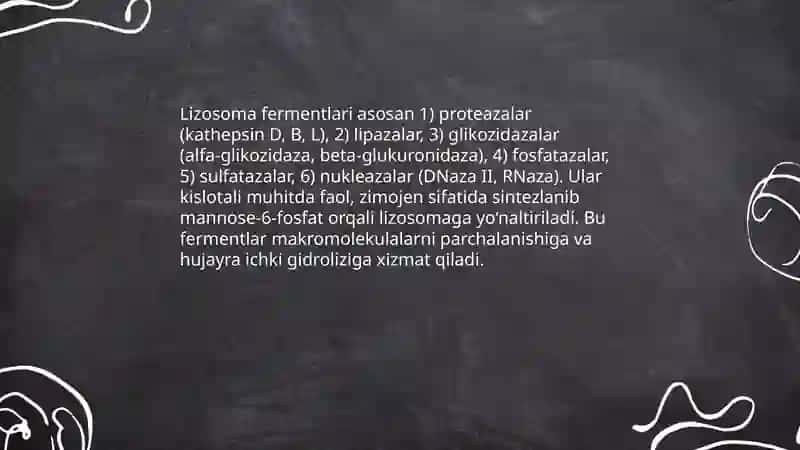 Sitoplazma organoidlari -lizosoma, sentrasoma, mikronaychalar 4