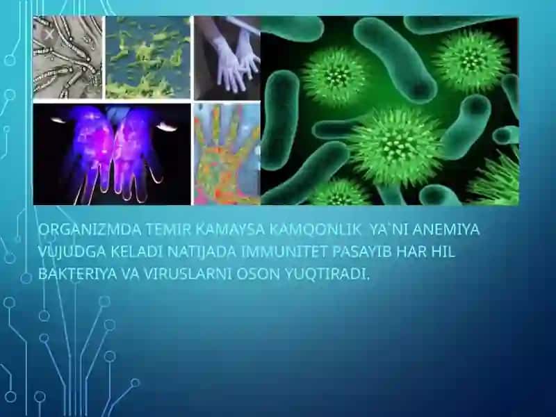 TEMIR VA UNING BIRIKMALARI ISHLATILISHI AHAMIYATI 4