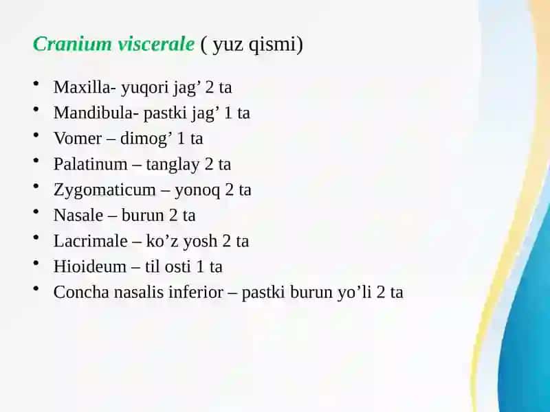 Kallasuyaklarining umumiyanatomiyasi(miyaqismsuyaklari) 4