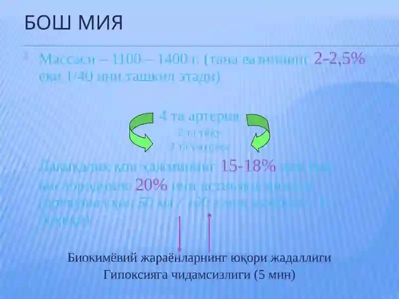 БОШ СОХАСИ БОШНИНГ МИЯ СОХАСИ КЛИНИК  АНАТОМИЯСИ ВА ОПЕРАТИВ ЖАРРОХЛИГИ 4