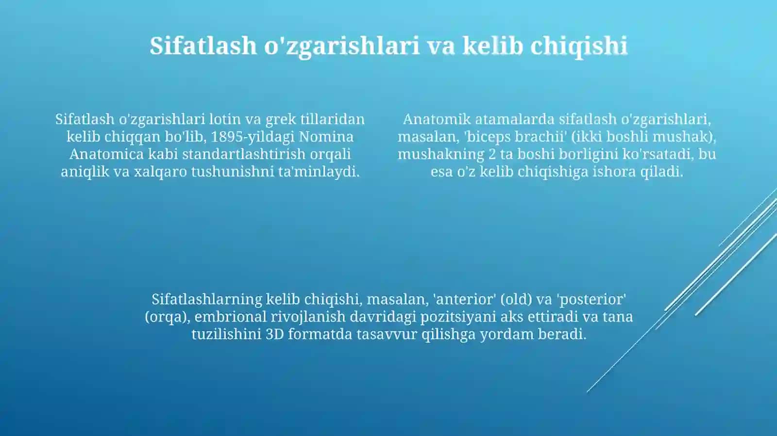 Anatomik terminlar tuzish 4