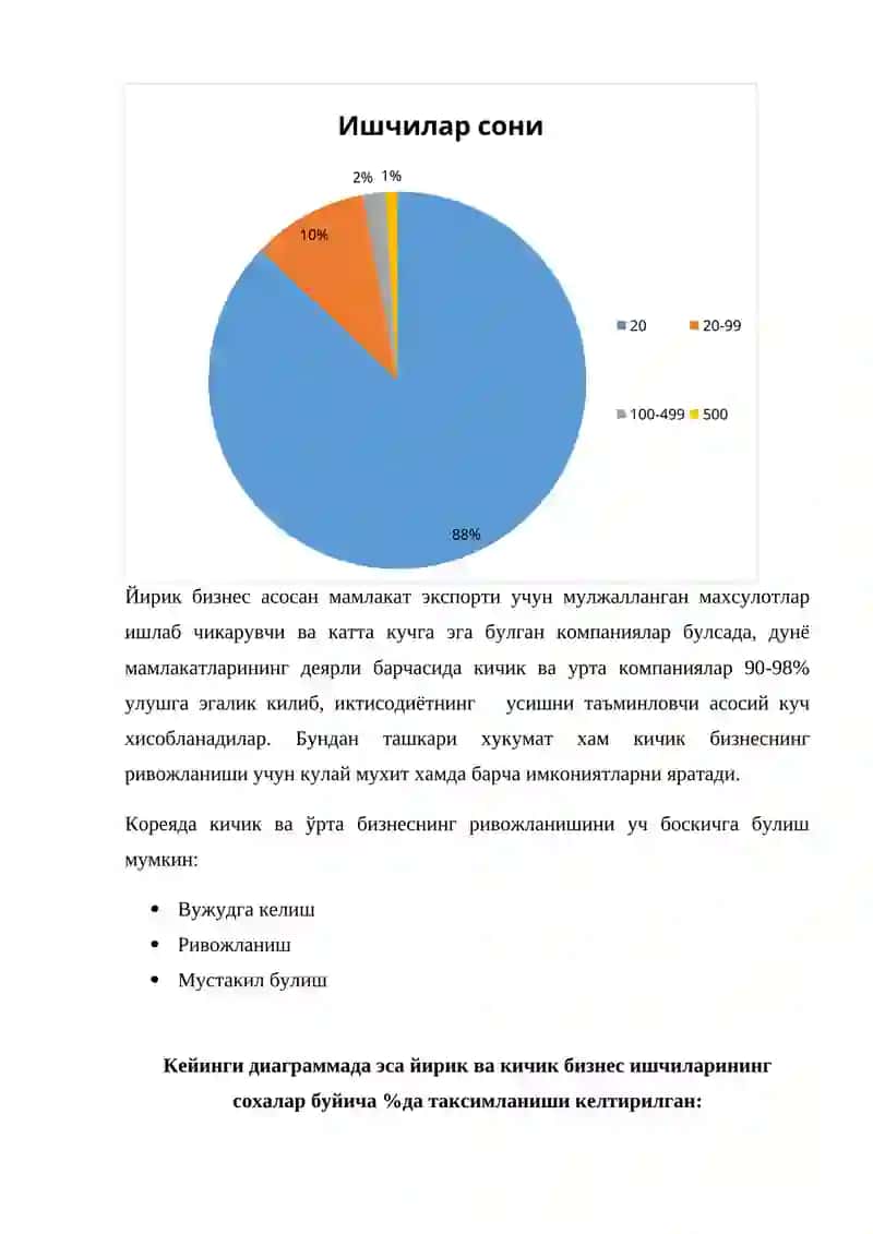 Жанубий Корея иктисодиётининг ривожланишида кичик ва урта бизнеснинг тутган урни ва роли 4