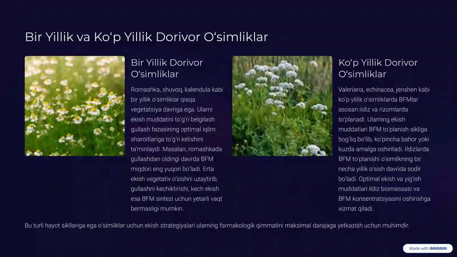 Dorivor O‘simliklarni Optimal Ekish Muddatlarining Ilmiy Asoslari 4