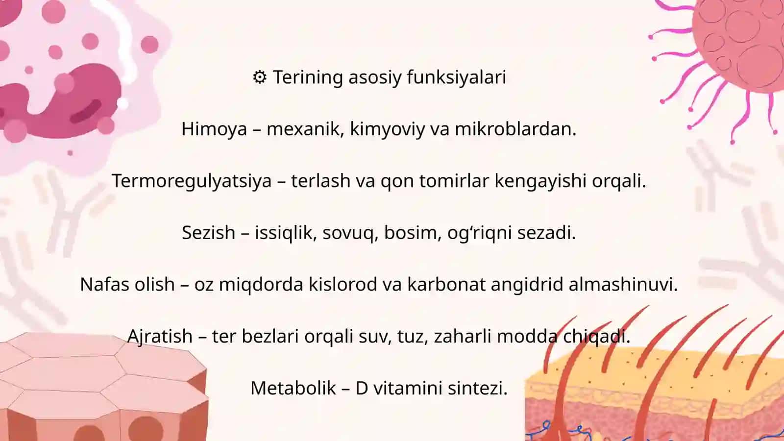 Teri va uning hosilalari: soch, tirnoq, sut bezlari 4