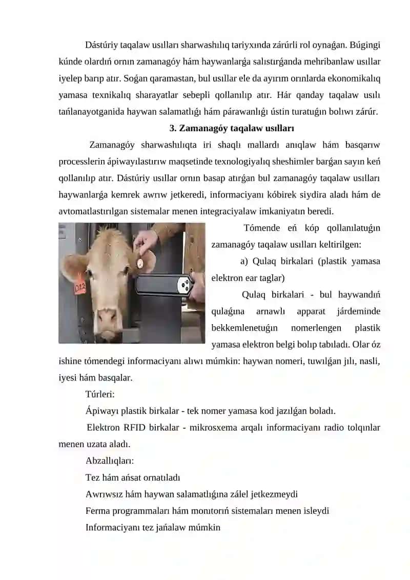 Iri shaqlı mallardı taqalaw 4