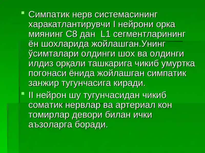 Вегетатив асаб тизим 4