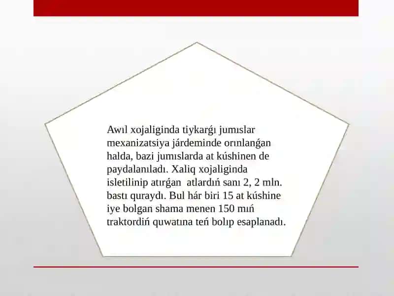 Nókis Filiali - Ta'lim Baǵdari 4