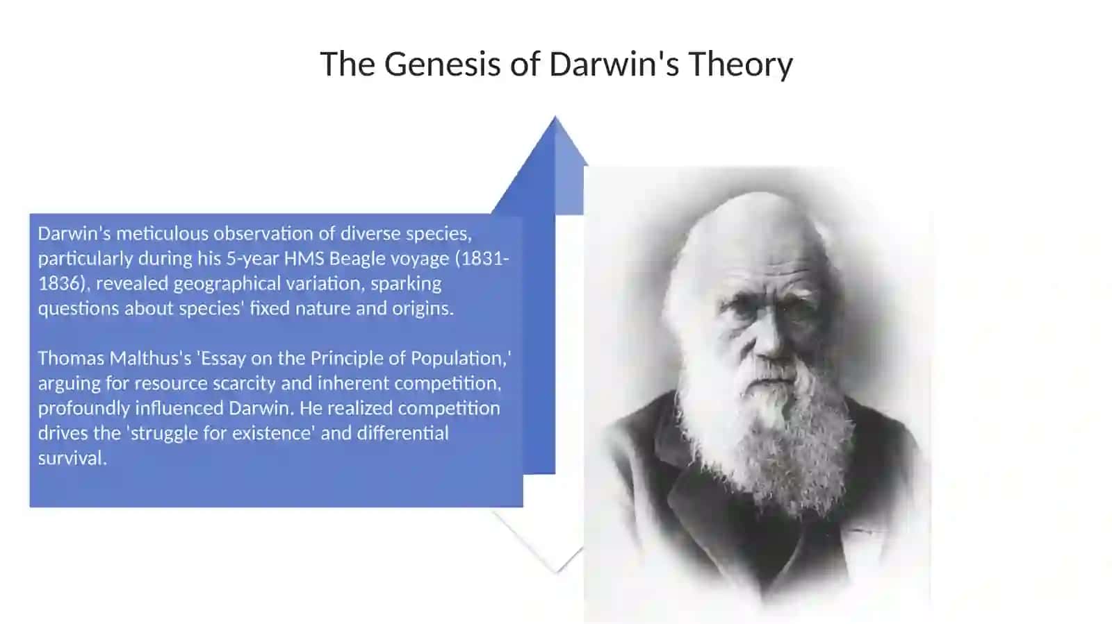 Charles Darwin 4