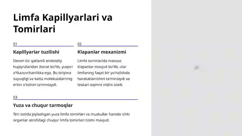 Limfa Tizimi Anatomiyasi: Tanamizning Himoya Tarmog'i 4