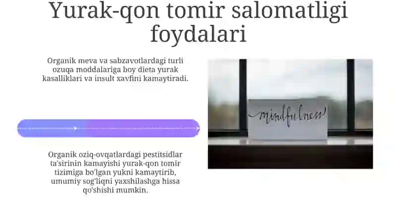 Ekologik toza qishloq xoʻjalik mahsulotlarining inson sogʻligidagi roʻli 4