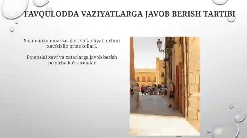 Salamanka bayonoti va ish faoliyati 4
