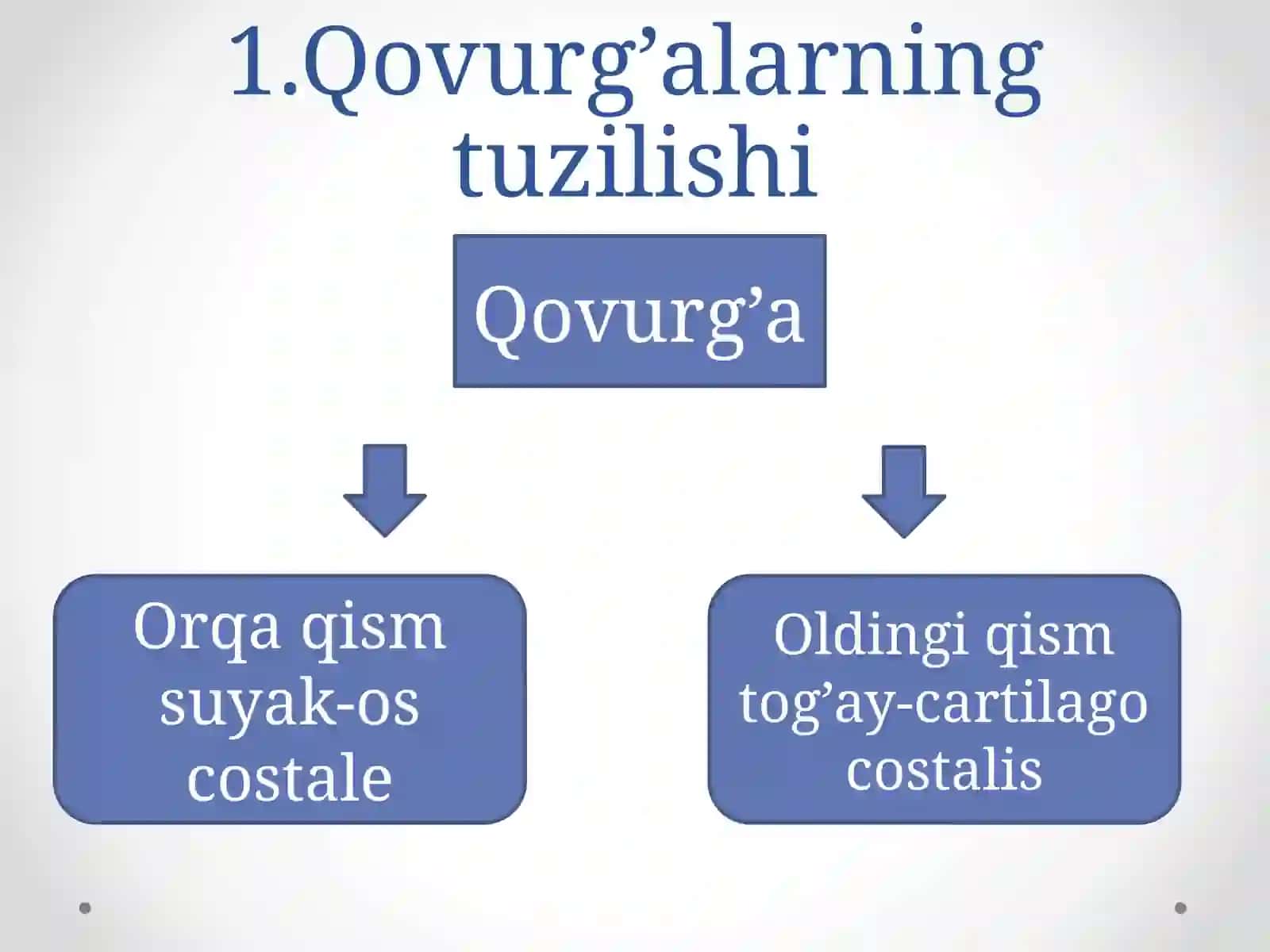 Qovurg’alarning tuzilishi 4