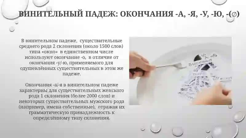 Правописание падежных окончаний имен существительных 4