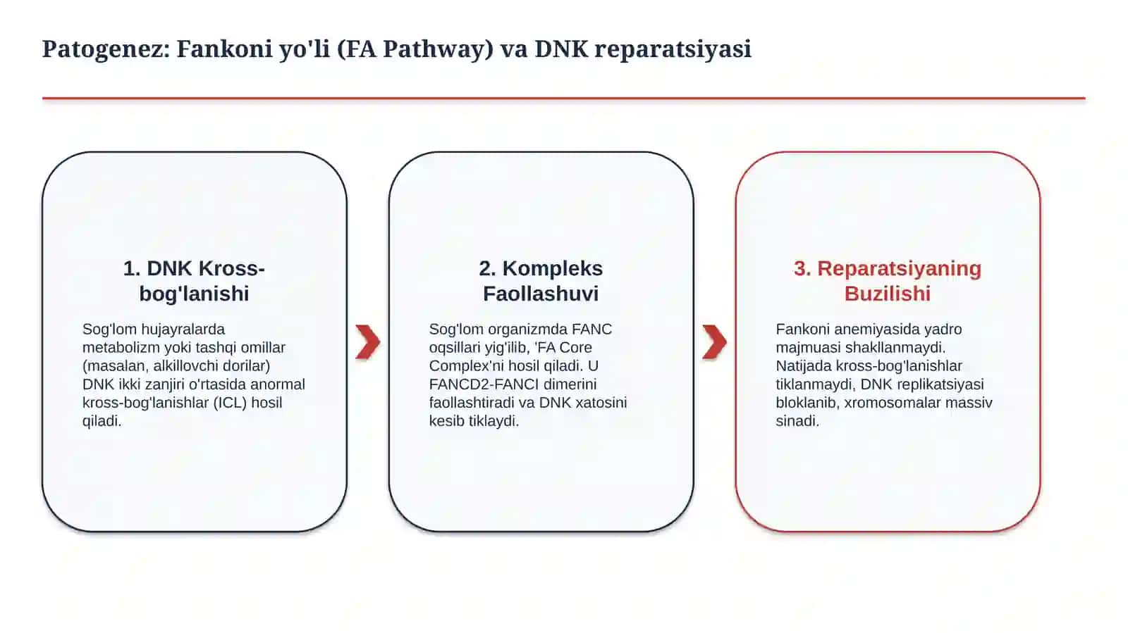 Fanconi anemiyasi — etiologiya, patogenez, klinika, diagnostika va davolash prinsiplari | 15 slayd 4