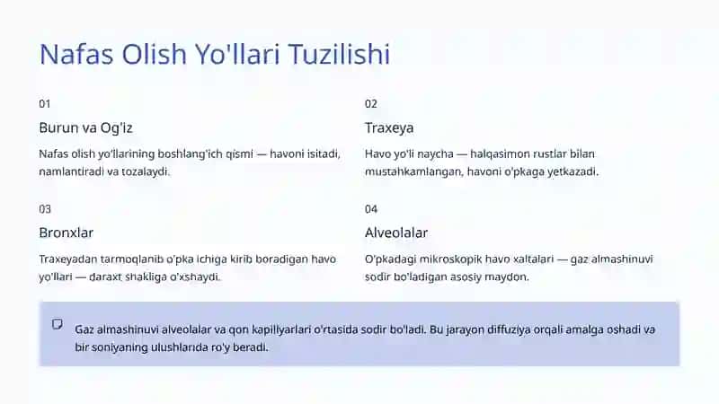 Nafas Olish 4
