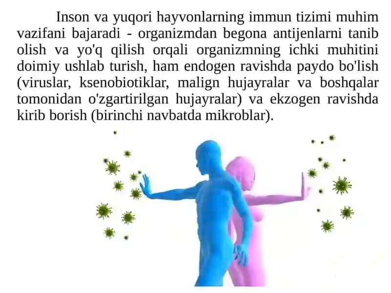 DAV 305A TESHAYEVA DURSANAM 4