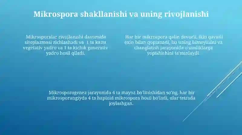 Androtsey va genetseyning rivojlanishi.mikrosporagenez va megasporagenez 4