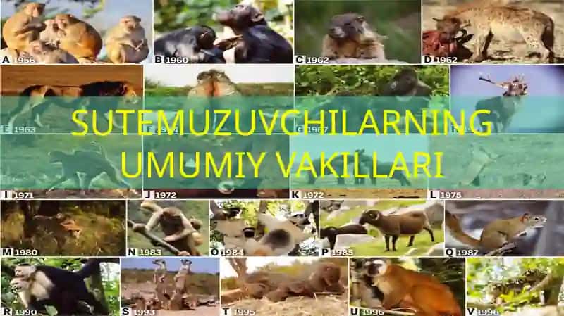 Sutemuzuvchilar haqida umumiy tushuncha 4