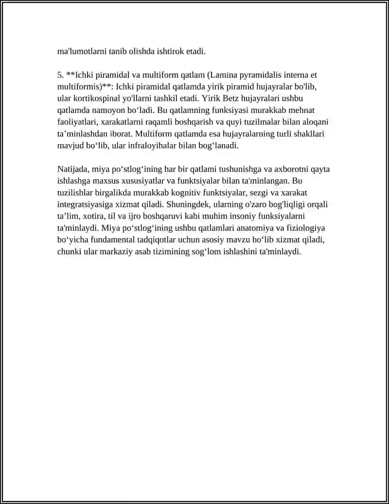 BOSH MIYA KATTA YARIMSHARLARI ARXITEKTONIKASI. MIYA PO'STLOG'I MAVZUSIDA REFERAT 4