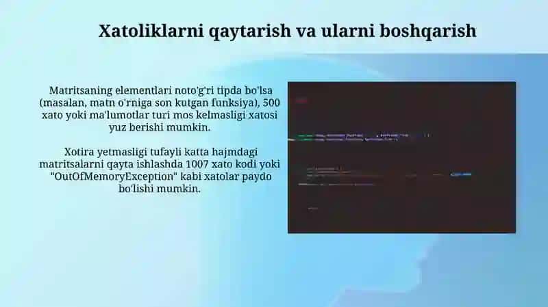 Matritsalarni Funktsiya Parametrlari Sifatida Qo'llash 4
