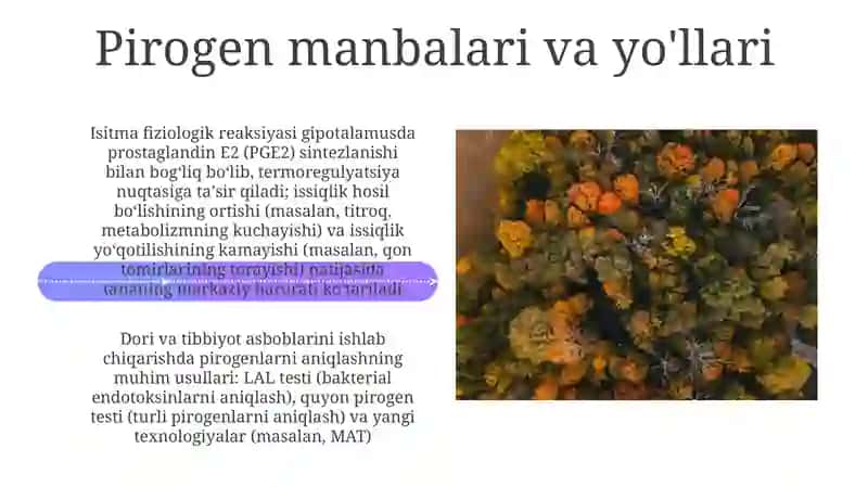 Pirogen moddalarning termoregulyatsiya jarayonidagi ahamiyati 4