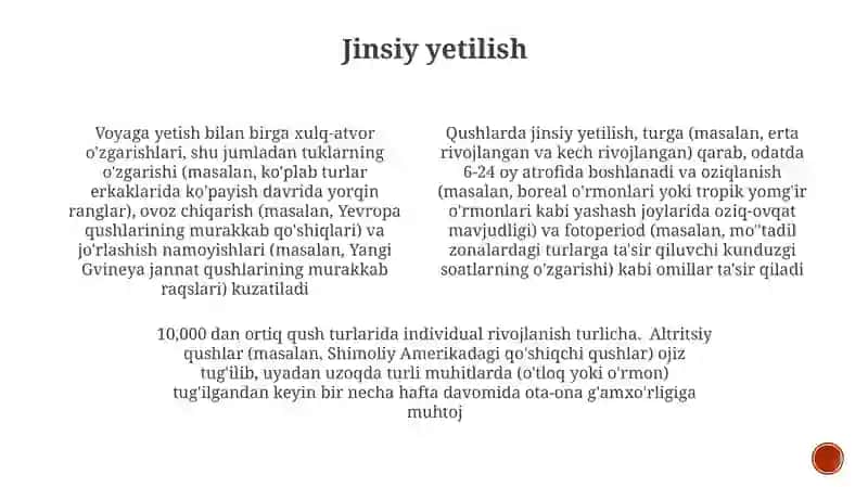 Qushlarning individual rivojlanish xususiyatlari 4