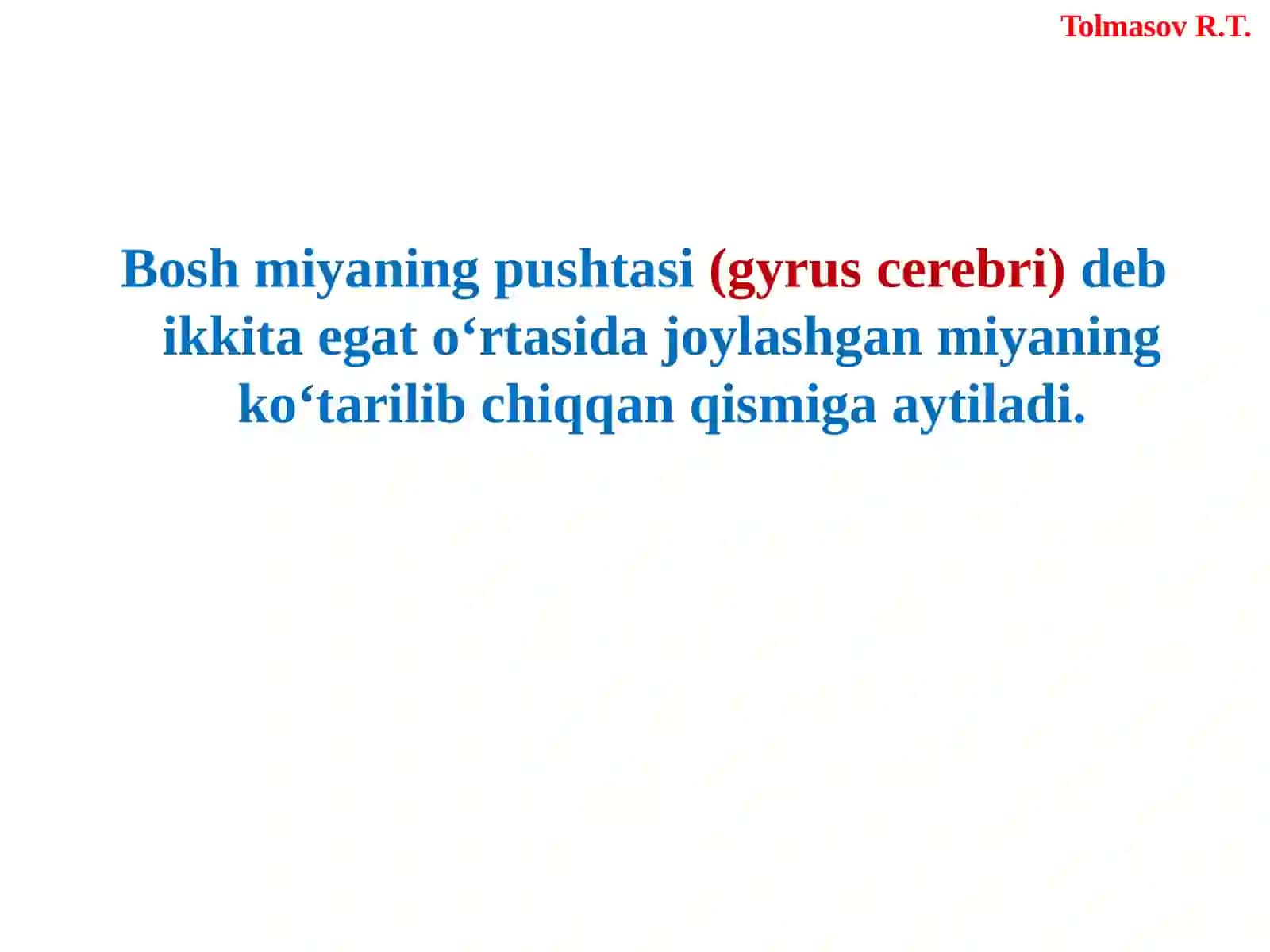 BOSHMIYA(ENCEPHALON) 4