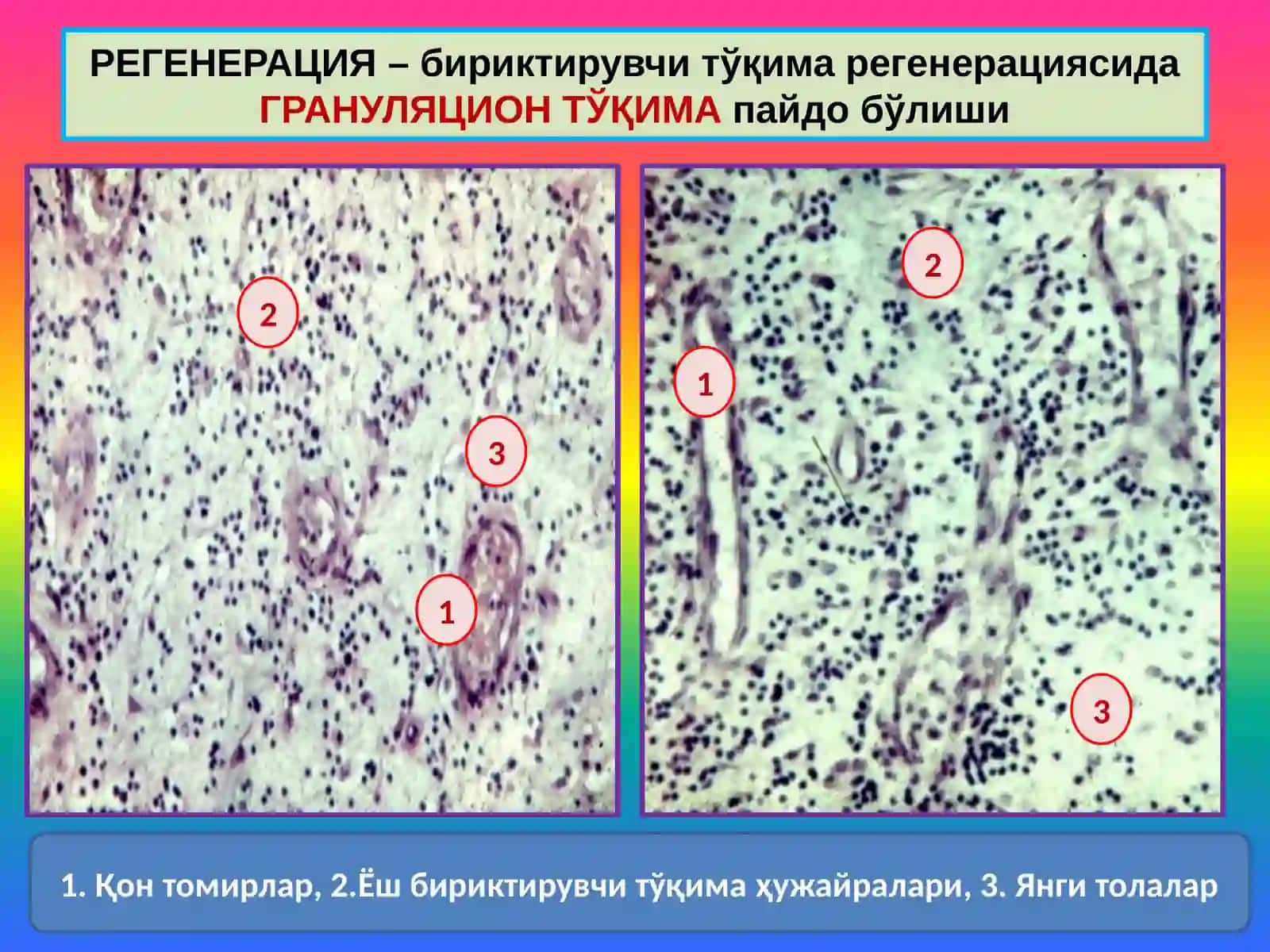 Мосланиш-ўрин алмашиниш жараёнлари 4