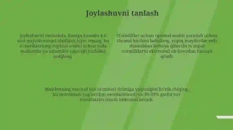 MTTdayashilburchaknitashkiletish 4