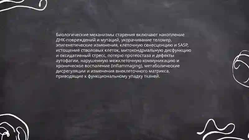 Старость и старение 4