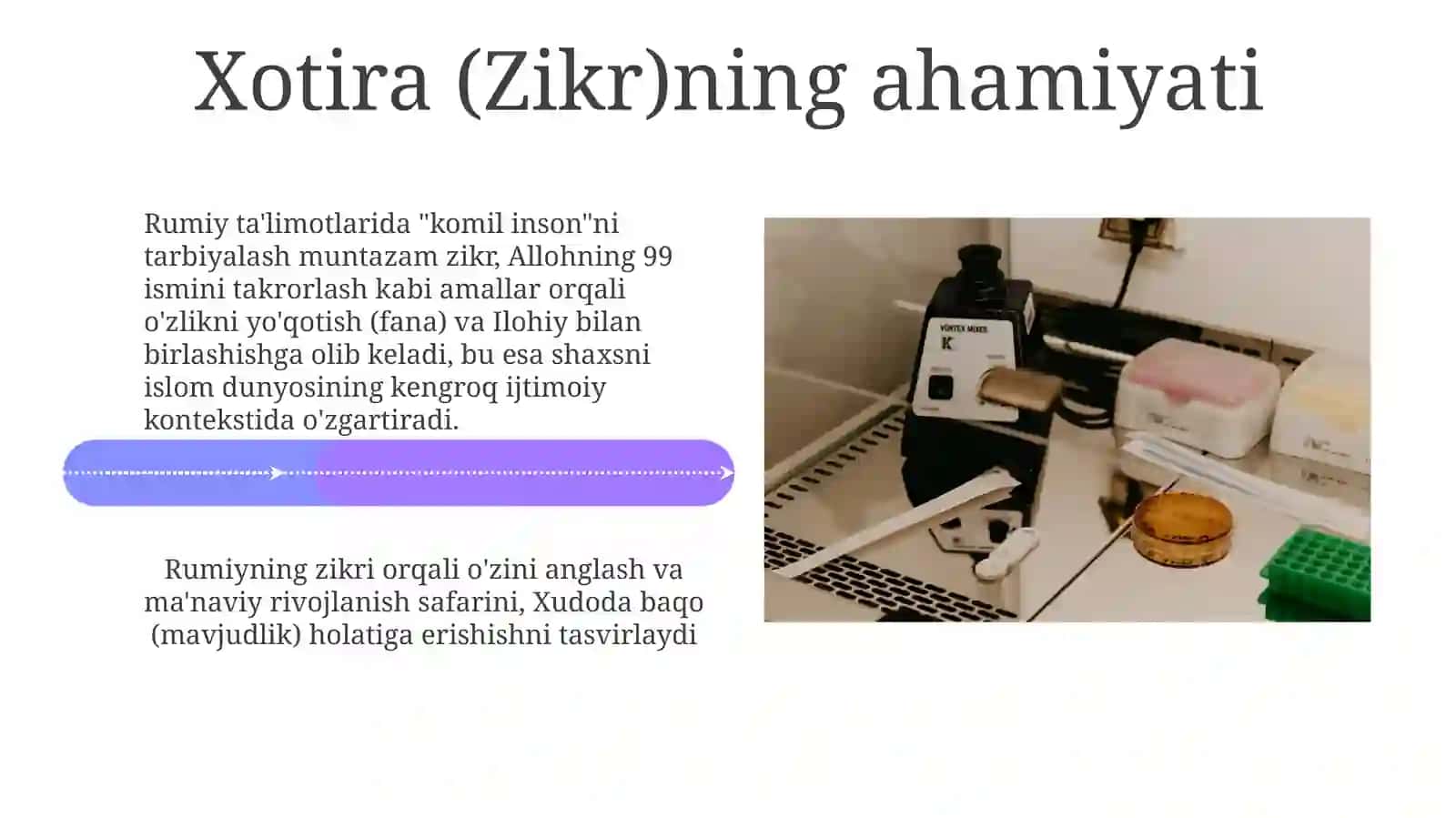 Jaloliddin Rumiy sarlarida komil inson tarbiyasi 4
