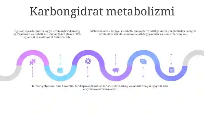 Metabolizm Va Energiyani OʻRganish. Termoregulyatsiya. ToʻGʻRi Ovqatlanish Asoslari 4