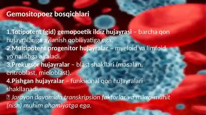 Gemositopoezni neyro-gumoral boshqarilishi 4