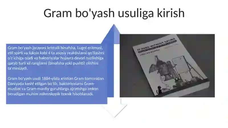 Gramm usulida bòyash va organizmlarni differensatsiya qilish 4