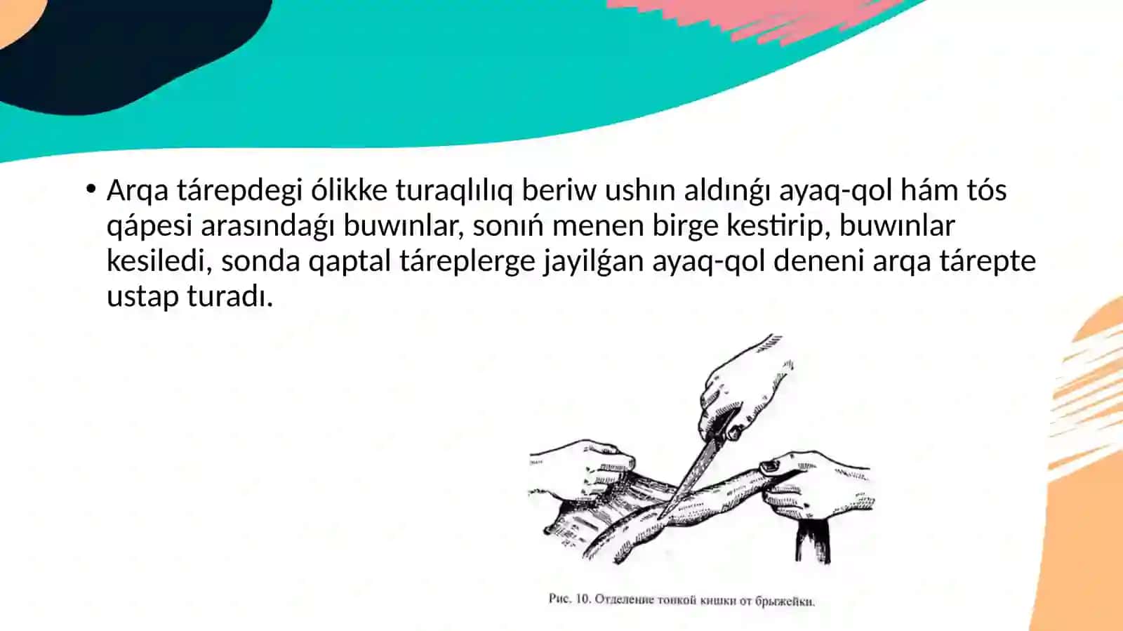 Awıl-xojalıq haywanlarınıń óligin jarıw 4