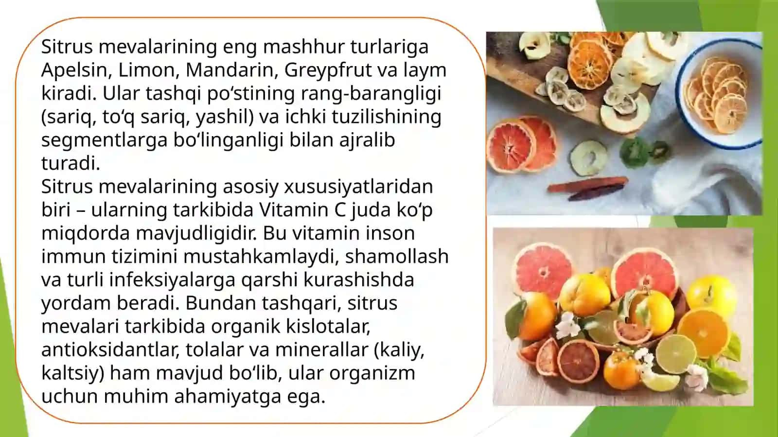 SITRUS MEVALAR QURITISH TEXNOLOGIYASI 4