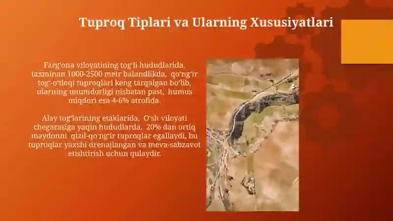 Farg'ona Vodiysi Tuproqlarining Iqtisodiy Ahamiyati 4