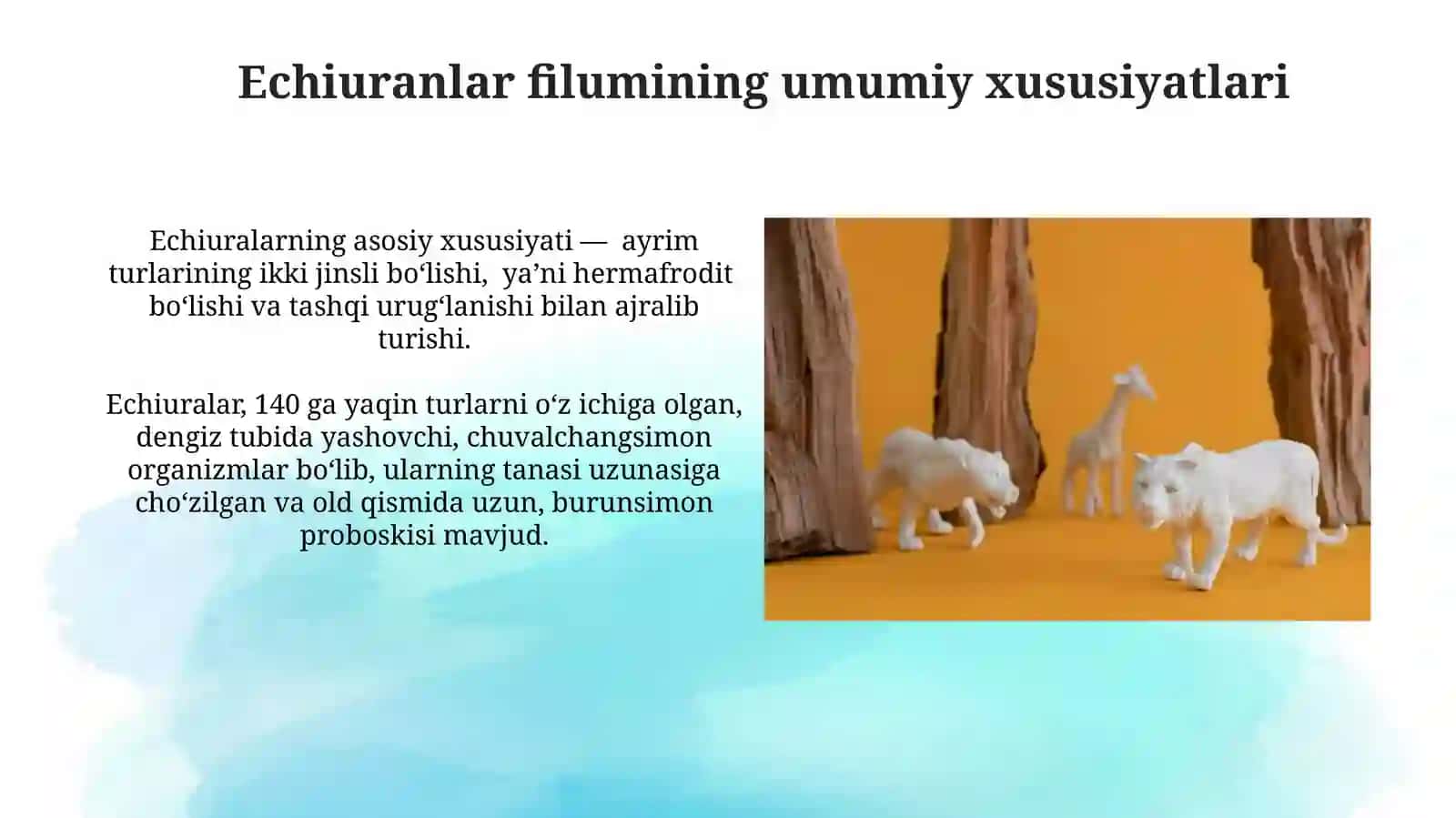 Dastlabki halqalilar sinfi vakillarining tuzilishi va hayot tarzi. Exiuralar va Sipunkulalar tiplari 4