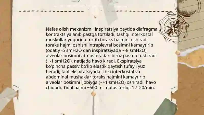 Nafas olish tizimining normal funksiyasi va inson salomatligi 4