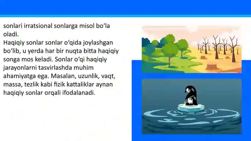 Haqiqiy sonlar va ustida arifmetik amallar. Taqribiy hisoblashlar 4