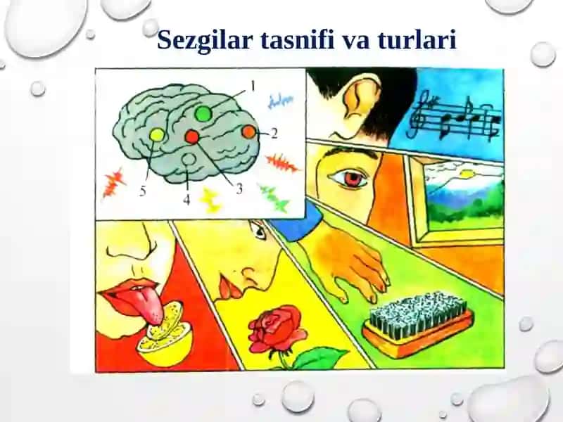SEZGI VA IDROK 4