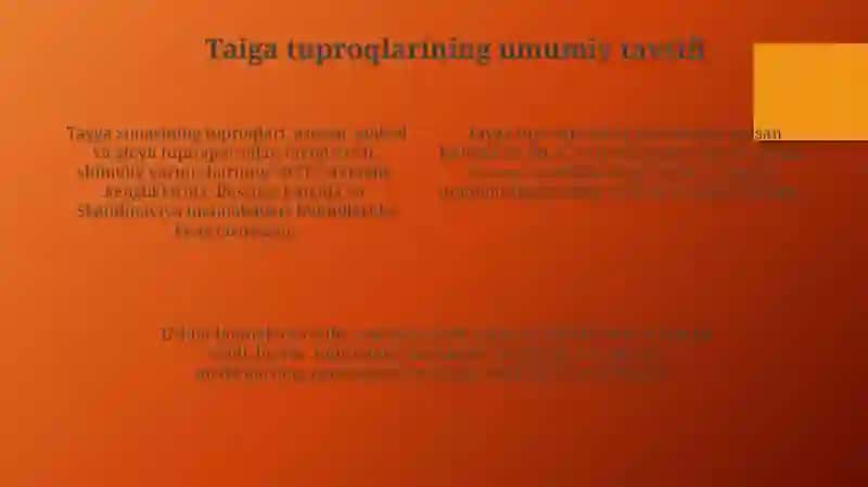 Tayga zonasi tuproqlari tavsifi va klassifikatsiyasi 4