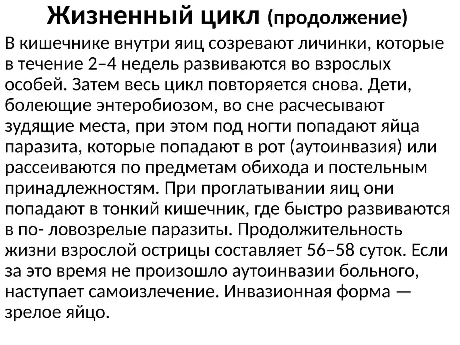 Острицакишечная (Enterobius vermicularis) 4