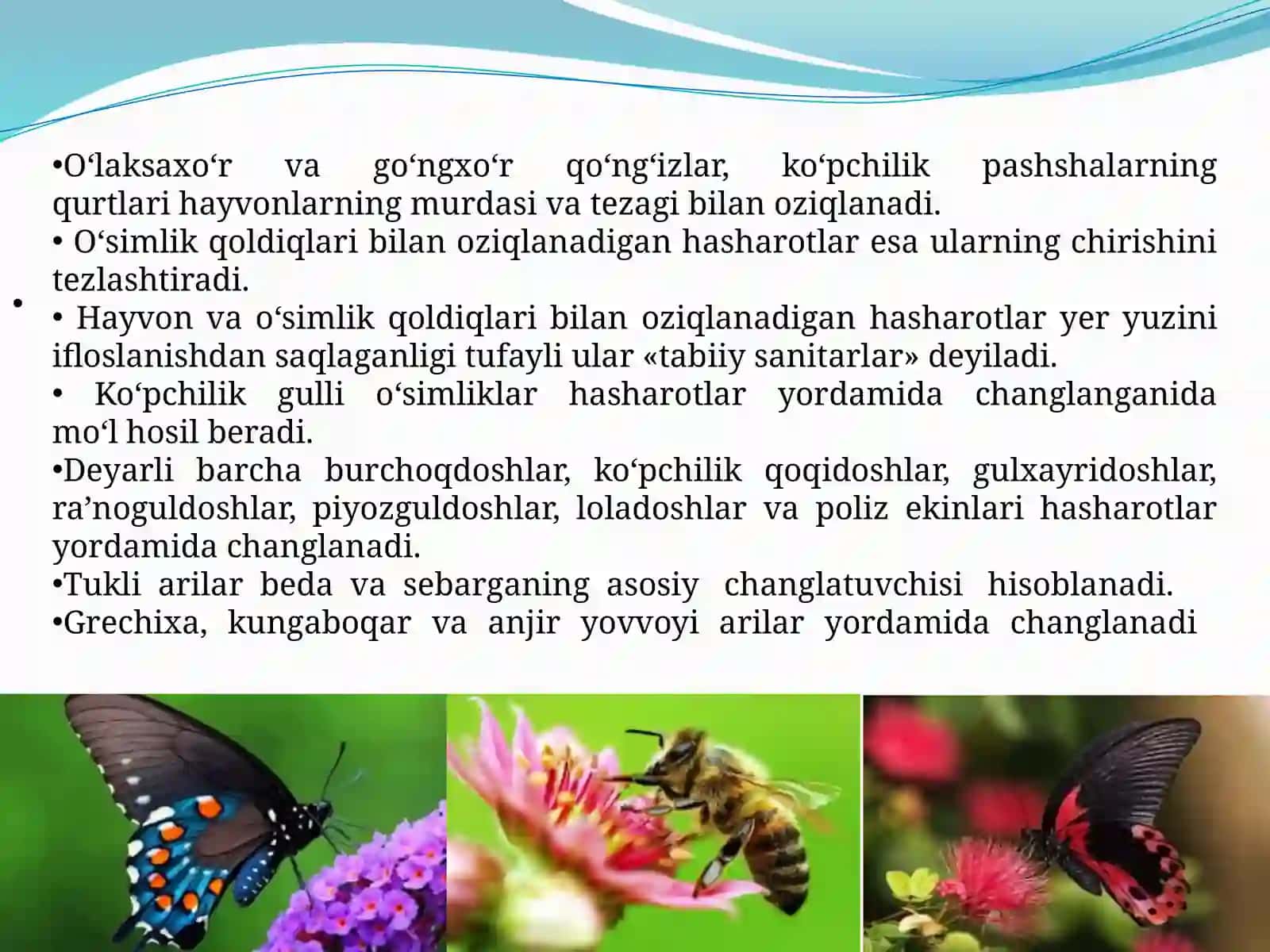 Hasharotlarning kelib chiqishi va ahamiyati 4