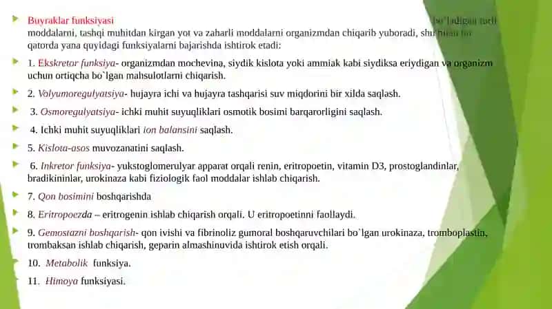Ayiruv sistemasi 4
