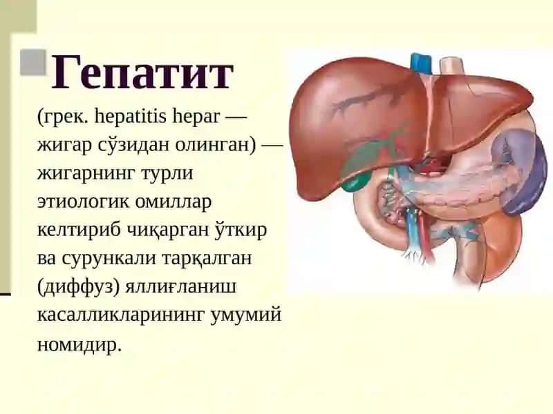Gospital infeksiyalar, parenteral virusli gepatitlar va OIV/OITS infeksiyalar epidemiologiyasi va profilaktikasi. Infeksion nazorat asoslari. 4