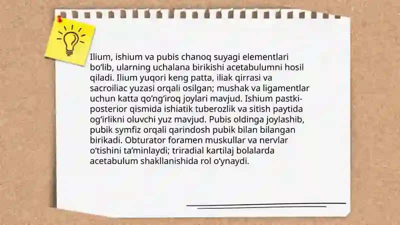 Chanoq kamari va oyoq erkin suyagi 4